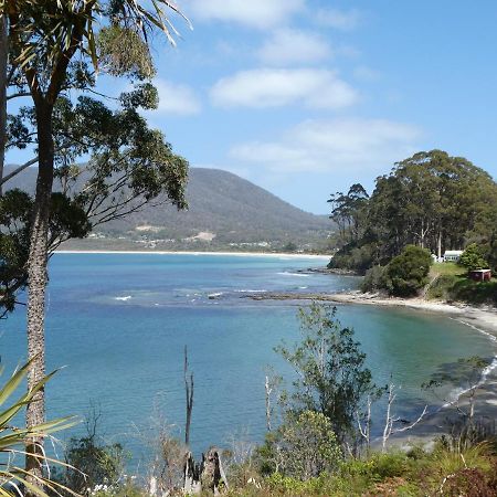 Osprey Lodge & Bungalow Eaglehawk Neck Esterno foto