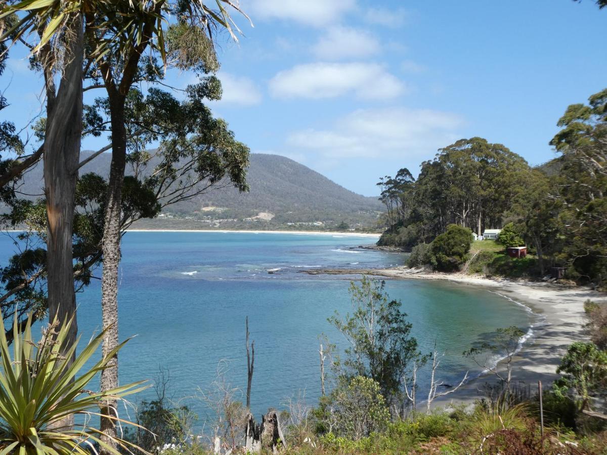 Osprey Lodge & Bungalow Eaglehawk Neck Esterno foto
