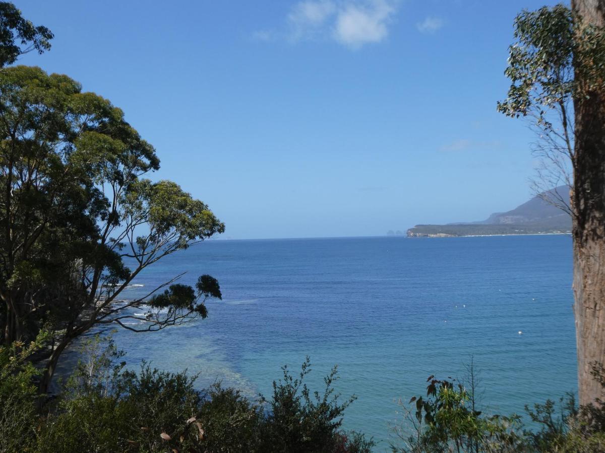 Osprey Lodge & Bungalow Eaglehawk Neck Esterno foto