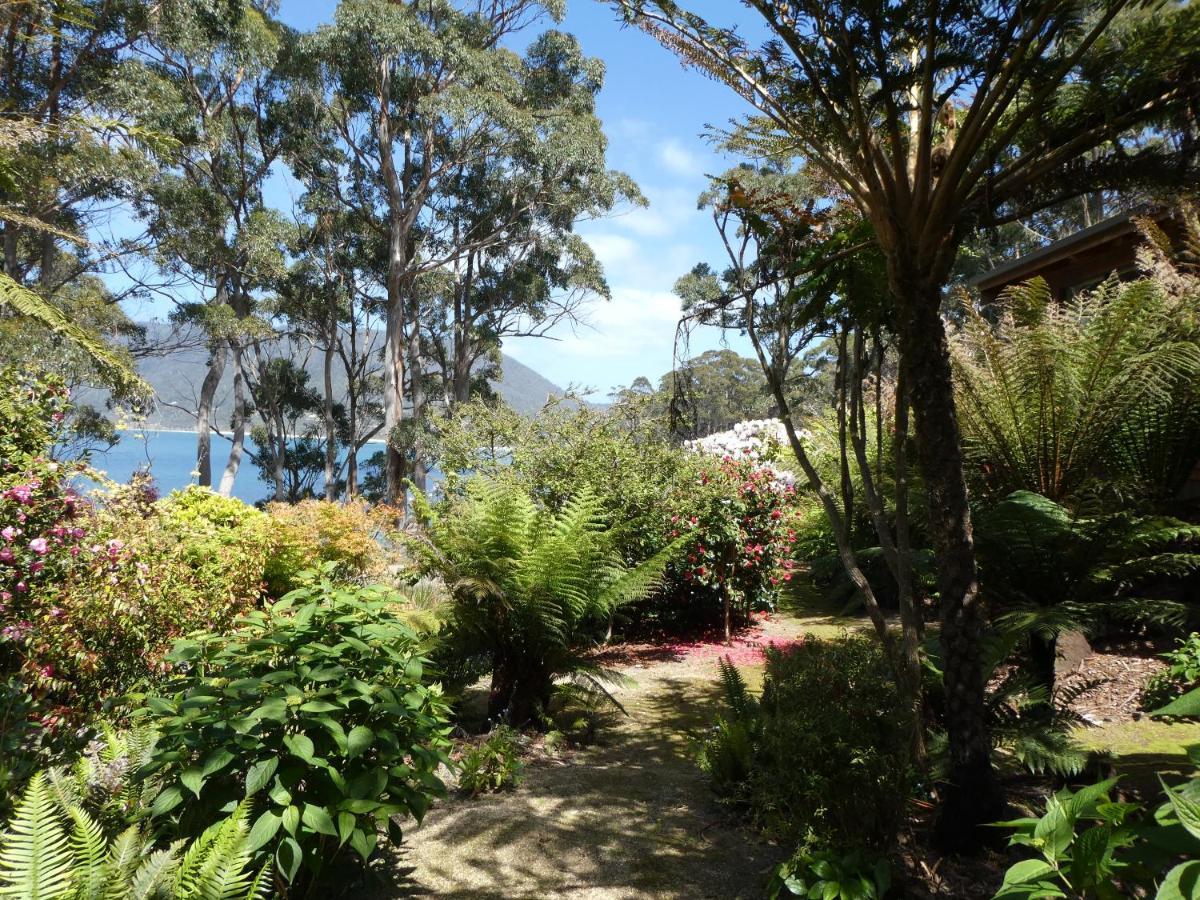 Osprey Lodge & Bungalow Eaglehawk Neck Esterno foto